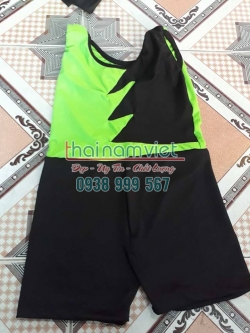 Aerobic Nhịp Điệu TE 021