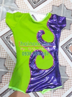 Aerobic Nhịp Điệu TE 031