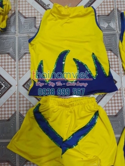 Aerobic Nhịp Điệu TE 033