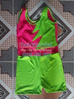 Aerobic Nhịp Điệu TE 038