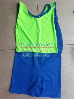Aerobic Nhịp Điệu TE 040