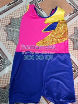 Aerobic Nhịp Điệu TE 047