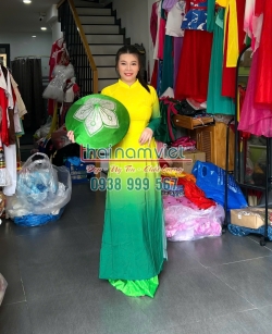 Áo Dài Lụa In 3D 014