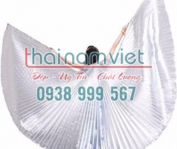 Cánh Wings Múa 007