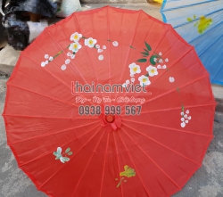 Dù Múa Dân Tộc 002