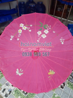 Dù Múa Dân Tộc 006