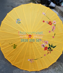 Dù Múa Dân Tộc 001