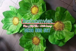 Hoa Múa 3 lớp 001