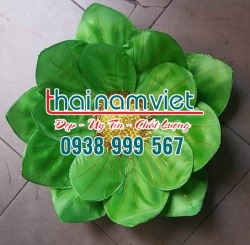 Hoa Múa 3 lớp 001