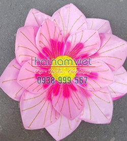 Hoa Múa 3 Lớp 002