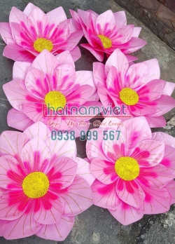 Hoa Múa 3 Lớp 002