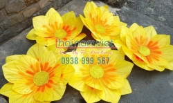 Hoa Múa 3 Lớp 003