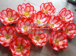 Hoa Múa 3 Lớp 004