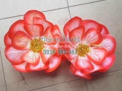 Hoa Múa 3 Lớp 004