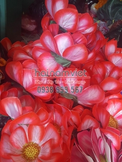 Hoa Múa 3 Lớp 004