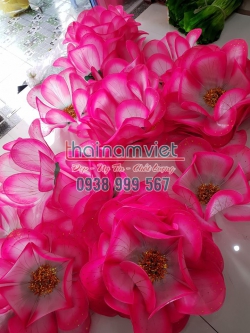 Hoa Múa Cầm Tay 009