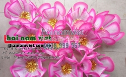 Hoa Múa Cầm Tay 009