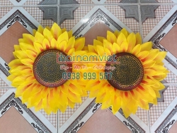 Hoa Hướng Dương 003