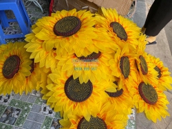 Hoa Hướng Dương 003