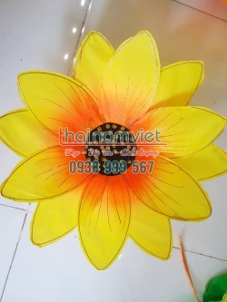 Hoa Hướng Dương 005