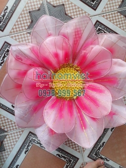 Hoa Múa 3 lớp 005