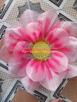 Hoa Múa 3 lớp 005