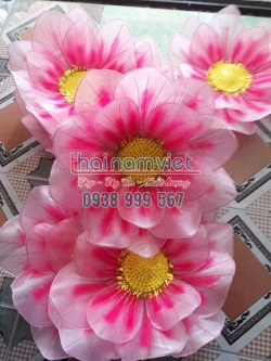 Hoa Múa 3 lớp 005