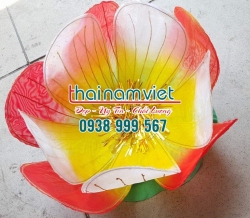 Hoa Múa Cầm Tay 002