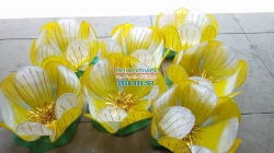 Hoa Múa Cầm Tay 003