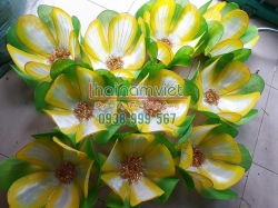 Hoa Múa Cầm Tay 003