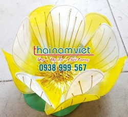 Hoa Múa Cầm Tay 005