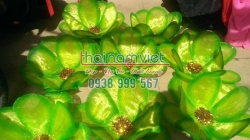 Hoa Múa Cầm Tay 008