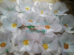 Hoa Múa Cầm Tay 011