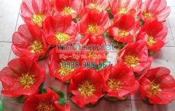 Hoa Múa Cầm Tay 013