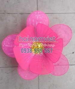 Hoa Múa Cầm Tay 014