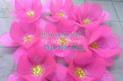 Hoa Múa Cầm Tay 014