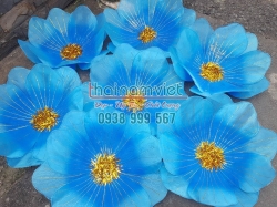 Hoa Múa Cầm Tay 015