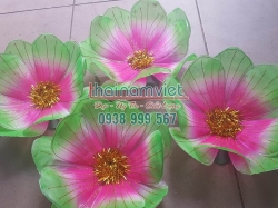 Hoa Múa Cầm Tay 016