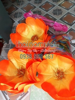 Hoa Múa Cầm Tay 018