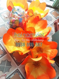 Hoa Múa Cầm Tay 018