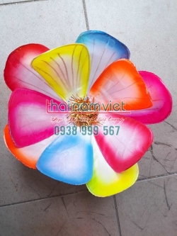 Hoa Múa Cầm Tay - Hoa Ngũ Sắc 002