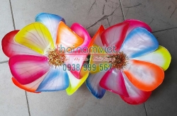 Hoa Múa Cầm Tay - Hoa Ngũ Sắc 002