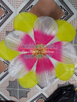 Hoa Múa Cầm Tay 022