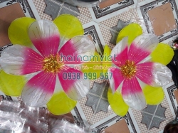 Hoa Múa Cầm Tay 022