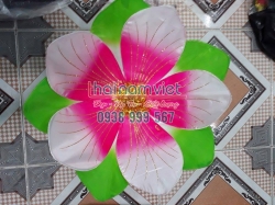 Hoa Múa Cầm Tay 023