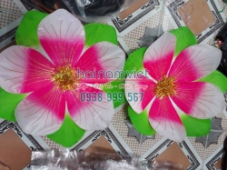 Hoa Múa Cầm Tay 023