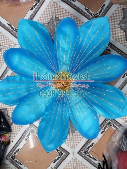 Hoa Múa Cầm Tay 024