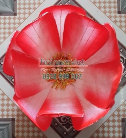 Hoa Múa Cầm Tay 026