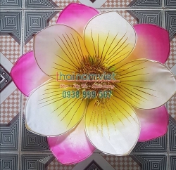 Hoa Múa Cầm Tay 027