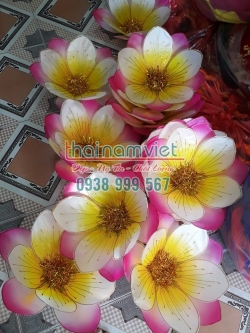 Hoa Múa Cầm Tay 027